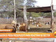 Lambayeque: Ganaderos piden presupuesto para reactivar su sector