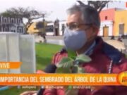 Trujillo: La importancia del sembrado del árbol de la Quina