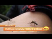 Cajamarca: Controlan emergencia por brote de dengue