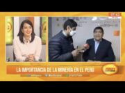 ¿Cuál es la importancia de la minería en el Perú?