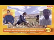 Subvenciones para pequeños productores que adquirieron fertilizantes