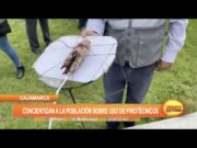 Cajamarca: Concientizar a la población sobre uso de pirotécnicos