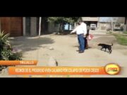 Trujillo: Vecinos de El Progreso viven calvario por colapso de pozos ciegos