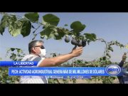 PECH: Actividad agroindustrial genera más de mil millones de dólares