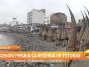 Trujillo: Incendio perjudica reserva de totoras