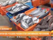 Trujillo: Descartan contaminación de pescados tras derrame petrolero