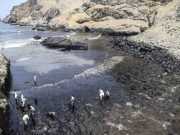 Repsol: Anuncian paralización de carga y descarga de hidrocarburos en el mar peruano