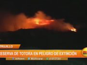 Huanchaco: Reserva de totora en peligro de extinción