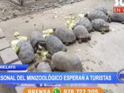 Lambayeque: Mini zoológico espera a turistas