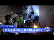 Chiclayo: Servicio forestal decomisa carbón