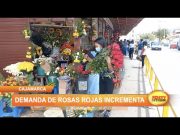 Cajamarca: Incrementa demanda de rosas rojas por San Valentín