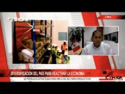Diversificación del país para reactivar la economía