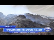 Trujillo: Totorales sufren otro atentado ecológico