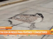 Huaraz: Pistas en mal estado son un riesgo para peatones y conductores