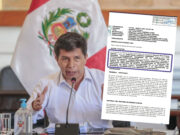 Pedro Castillo presenta demanda de hábeas corpus contra subcomisión de acusaciones constitucionales