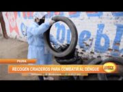 Piura: Recogen criaderos para combatir al dengue