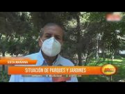 Gerente del SEGAT da a conocer los riesgos según el estado de árboles