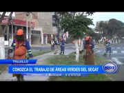Conozca el trabajo de áreas verdes del SEGAT