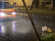 COER La Libertad: Lluvias en Trujillo continuarían por sistema convectivo