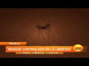 Trujillo: El dengue está controlado en la región La Libertad