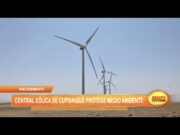 Pacasmayo: Central eólica de Cupisnique protege medio ambiente