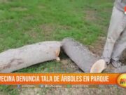 Trujillo: Vecina denuncia tala de árboles en parque