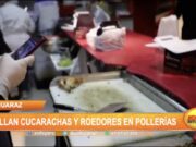 Huaraz: Hallan cucarachas y roedores en pollerías