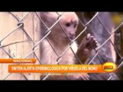 Lo más destacado de la semana en el Perú (16 mayo 2022 – 22 mayo 2022)