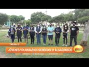 Trujillo: Jóvenes voluntarios siembran 21 algarrobos