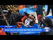 Inician fase exploratoria para pesca de anchoveta