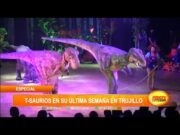 T-saurios en su última semana en Trujillo