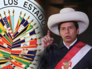 La OEA pide a Pedro Castillo evitar el proyecto de ley sobre educación sexual pedrocastillo-oea-politica