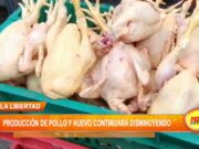 La Libertad: Producción de pollo y huevo continuará disminuyendo