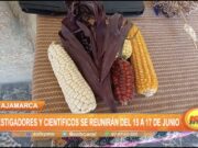 Cajamarca: Investigadores y científicos se reunirán del 15 al 17 de junio