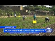 La Libertad: Productividad agrícola crece 5% en Otuzco
