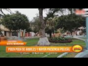 Alcalde vecinal pide la poda de árboles y mayor presencia policial en urb. Santa Inés