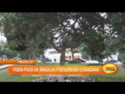 Alcalde vecinal de la urb. Santa Inés pide la poda de los árboles y mayor seguridad