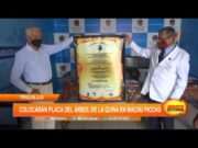 Trujillo: Colocarán placa de árbol de la quina en Machu Picchu