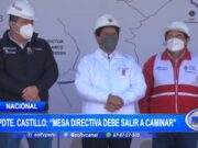 Pedro Castillo: “Mesa Directiva debe salir a caminar”