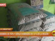 La Libertad: siembra de papa y arroz disminuirá en 1.8 % en la región