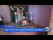 Cajamarca: niño fallece tras ataque de perros callejeros