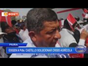 Piura: exigen a presidente Castillo solucionar crisis agrícola
