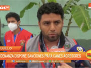 Trujillo: ordenanza dispone sanciones para canes agresores