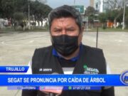 Trujillo: Segat se pronuncia por caída de árbol