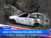 Trujillo: Segat se pronuncia por caída por árbol