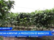 La Libertad: buscan aumentar la producción de maracuyá