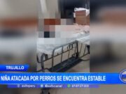 Trujillo: niña atacada por perros se encuentra estable