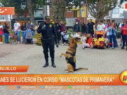 Trujillo: canes se lucieron en corso «Mascotas de primavera»