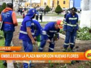 Trujillo: embellecen la plaza de armas con nuevas flores