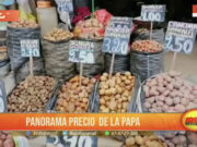 Trujillo: se incrementa el precio de la papa